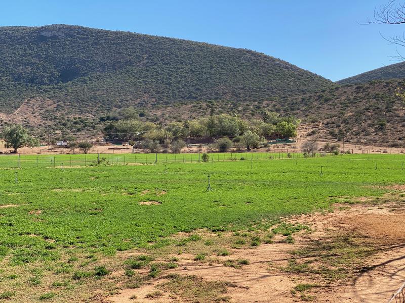 0 Bedroom Property for Sale in Kirkwood Eastern Cape